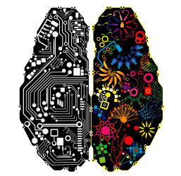 Neuro Feedback Logo
