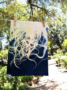 Cyanotype Hair